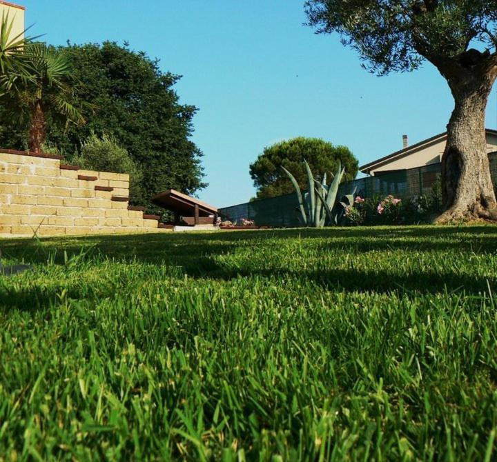 Antigua B&B Porto Potenza Picena Eksteriør billede