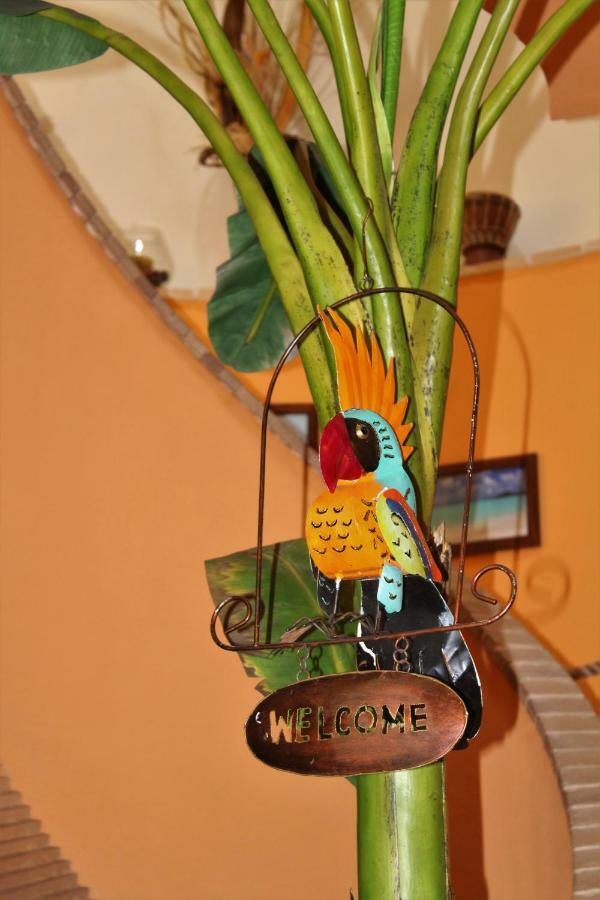 Antigua B&B Porto Potenza Picena Eksteriør billede